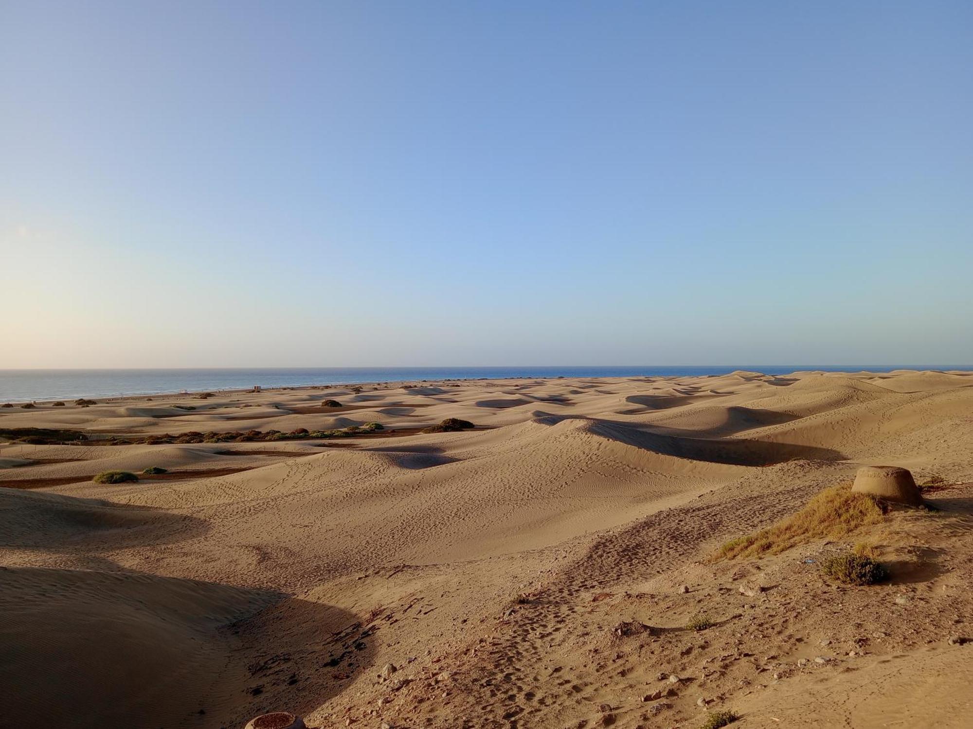 La Girafe De Las Dunas Solymar San Bartolomé Eksteriør billede